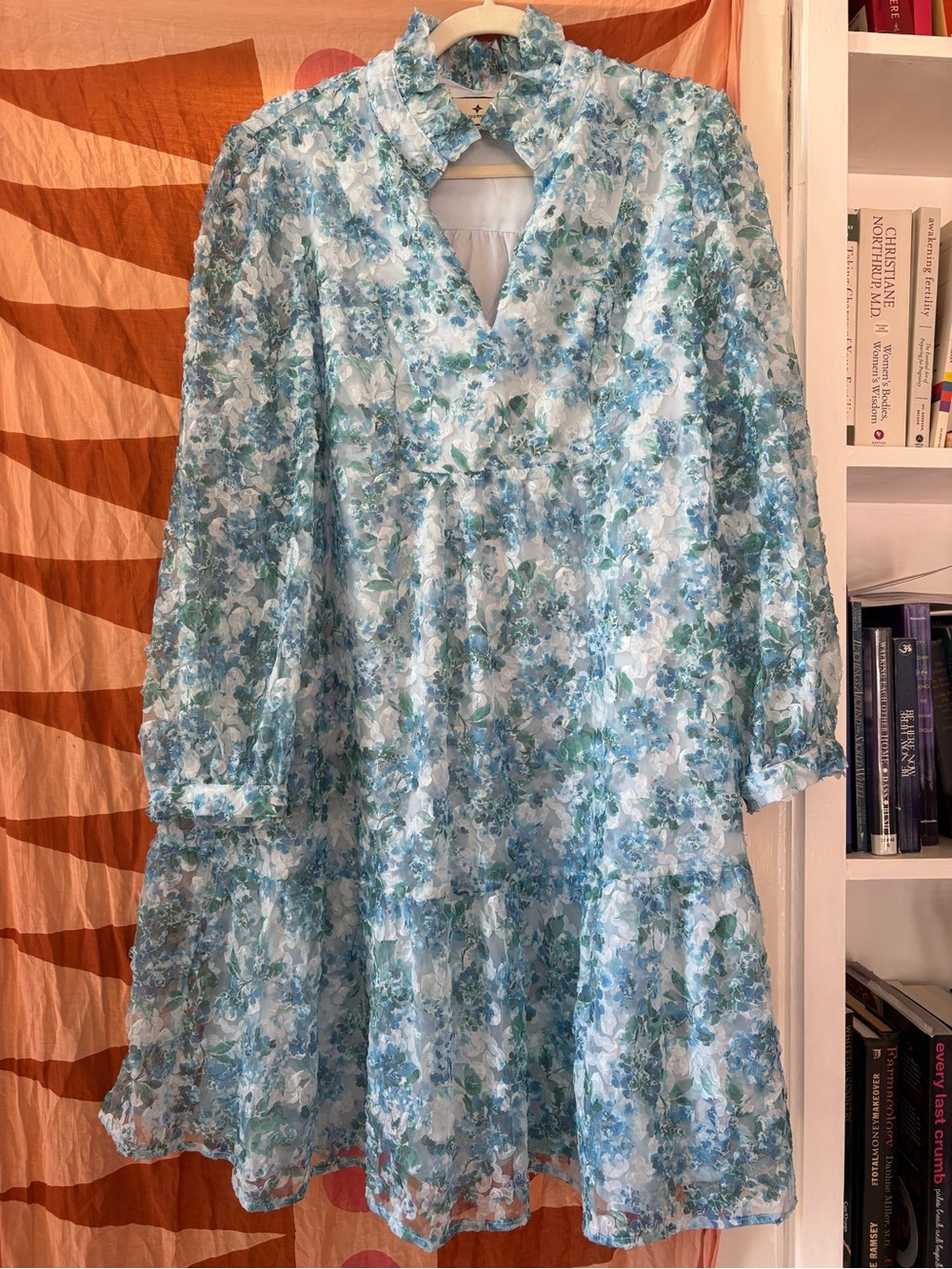 Tuckernuck Water's Edge Hydrangea Organza Palmerston Dress XXL - Picture 2 of 10